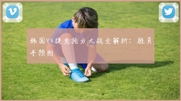 韩国vs捷克抢分大战全解析：胜负手预测