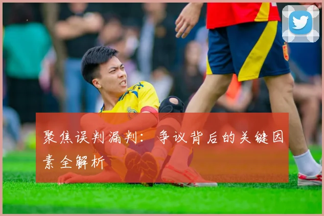 聚焦误判漏判：争议背后的关键因素全解析